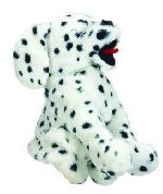 Dalmata